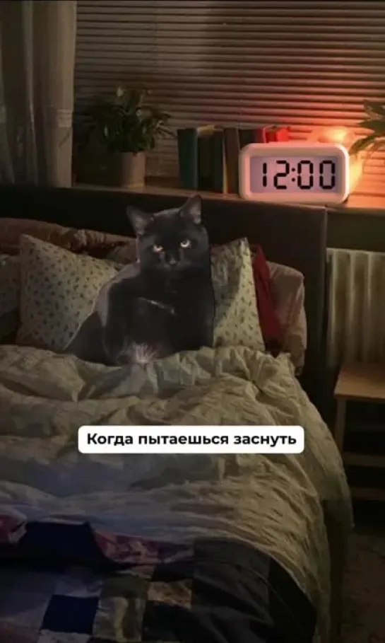 ну зачем так жизненно