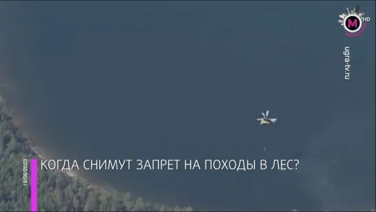 Мегаполис - Когда снимут запрет на походы в лес? - Югра