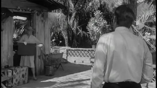 La noche de la iguana - John Huston 1964 (8/10) 1 Oscar