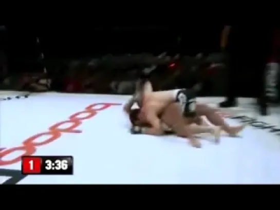 Chael Sonnen HL