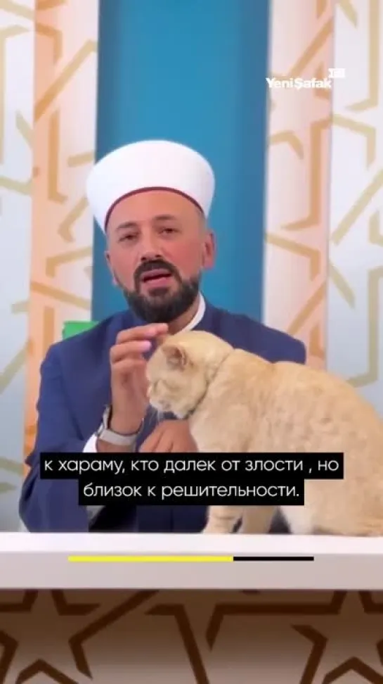 Проповедь с котиком