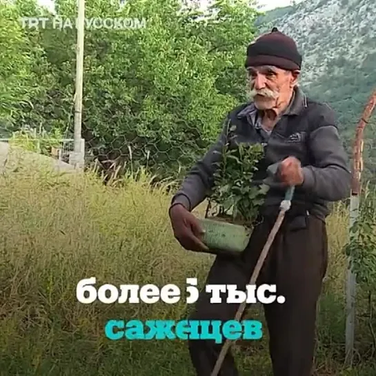 Слепой дедушка сажает деревья