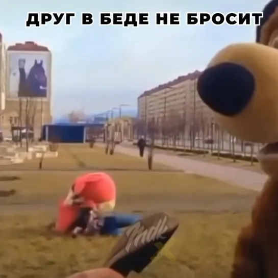 Друг в беде не бросит