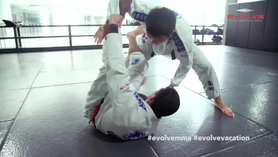 BJJ Flow Rolling Black Belts. Shinya Aoki vs Bruno Pucci