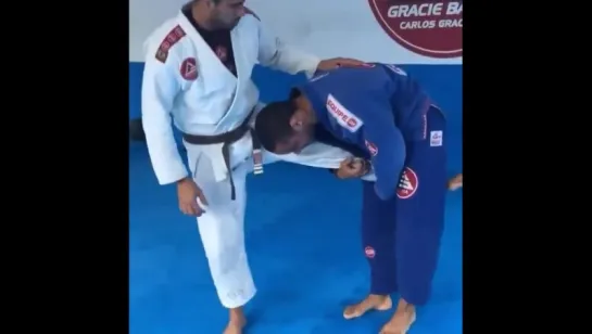 GRACIE BARRA