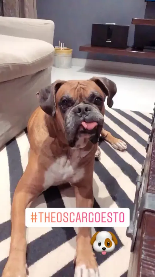 Oscar’s tongue