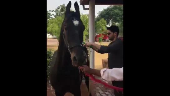 Sidharth with Chetak 27/11/2017 (2)