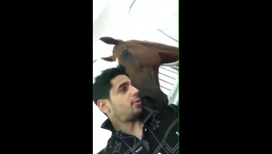 Sidharth-insta-video-01/10/2017