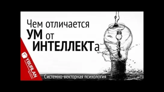 Чем отличается ум от интеллекта. Системно-векторная психология. Юрий Бурлан