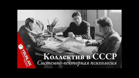 Коллективисты против индивидуалистов. О роли коллектива в бизнесе. Системно-векторная психология