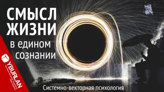 Смысл жизни в едином сознании. Системно-векторная психология. Юрий Бурлан