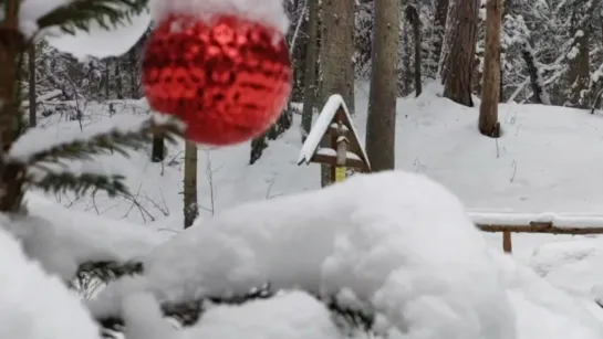 Видео от Монастырь Оптина пустынь