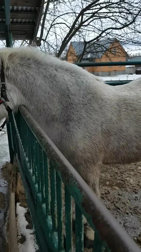 Видео от Монастырь Оптина пустынь