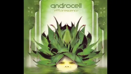 Androcell - Neurosomatic Circuit