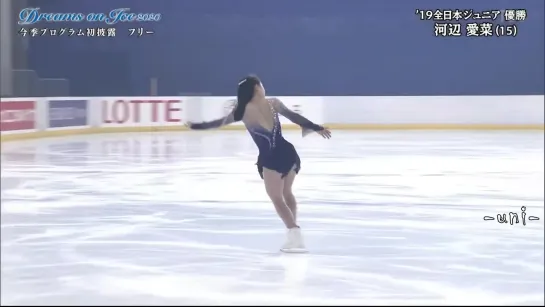 Mana KAWABE - FS - 2020 Dreams on Ice  - 河辺愛菜