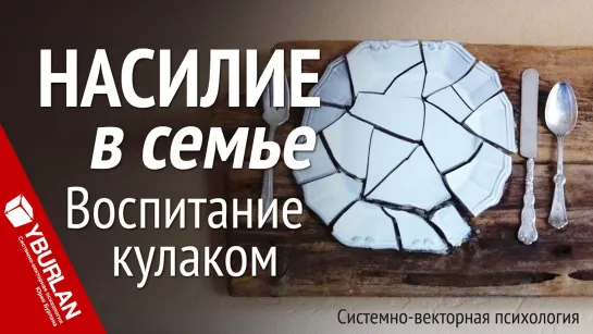 Насилие в семье. Воспитание кулаком. Системно-векторная психология. Юрий Бурлан