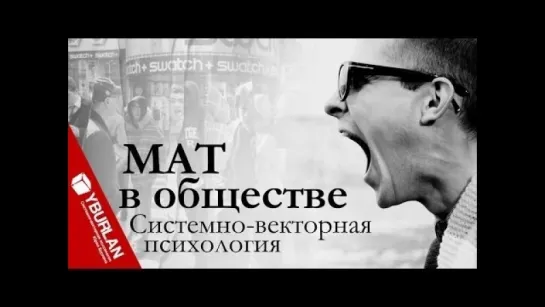 Матерное слово. Между Войной и Миром. Системно-векторная психология. Юрий Бурлан