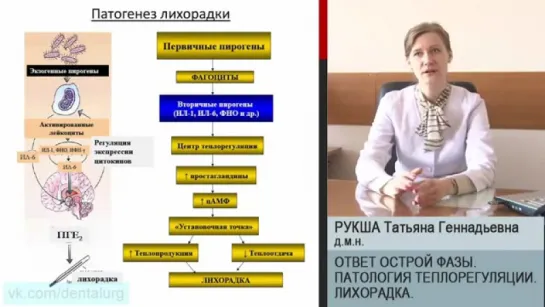 8. Ответ острой фазы. Патология теплорегуляции. Лихорадка