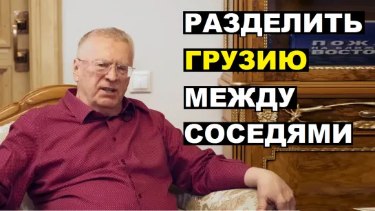 Жириновский: Надо разделить Грузию за её вечную подлость и предательство