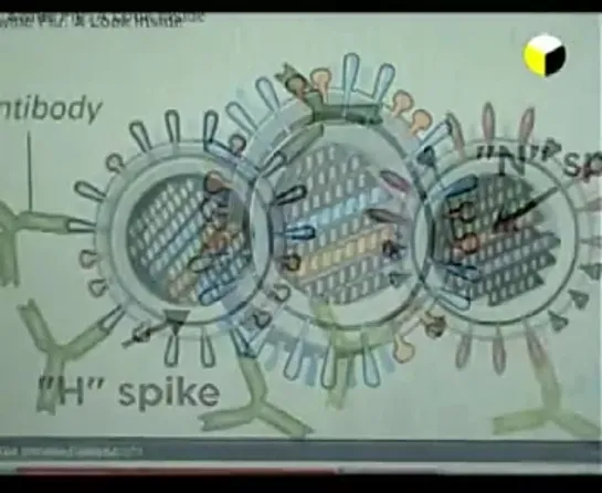 + ПРАВДА О ПРИВИВКАХ - Генетическая бомба - фильм Галины Царевой "Пандемия лжи".