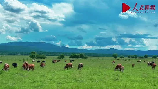 Внутренняя Монголия: место, полное надежды