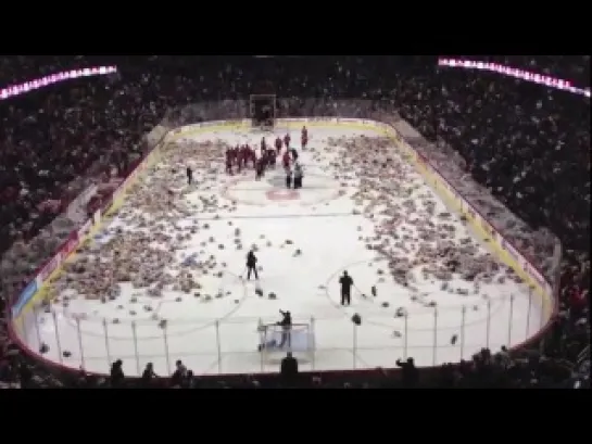 Teddy Bear Toss