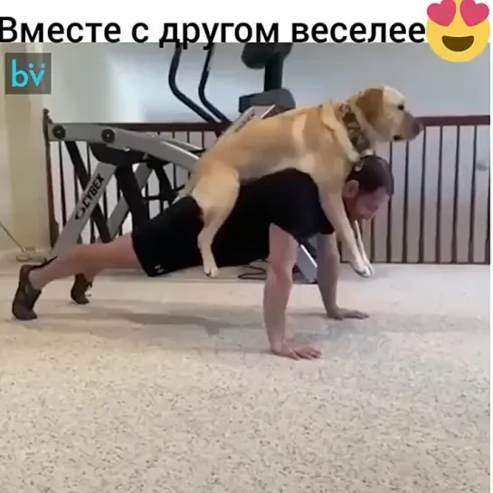 Спорт