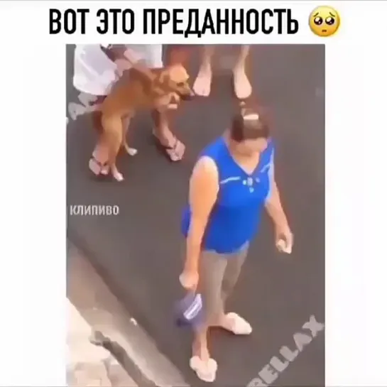 Любовь