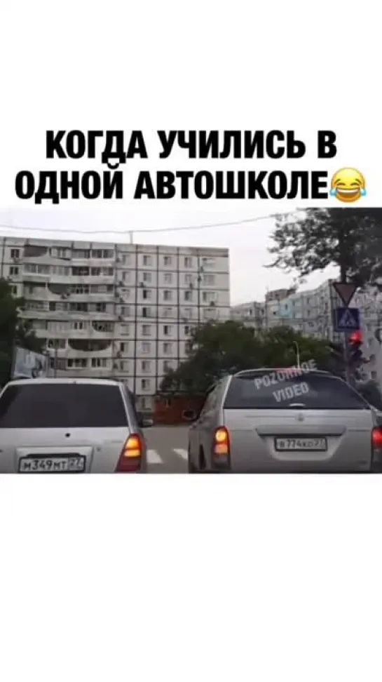 Учились в одной школе