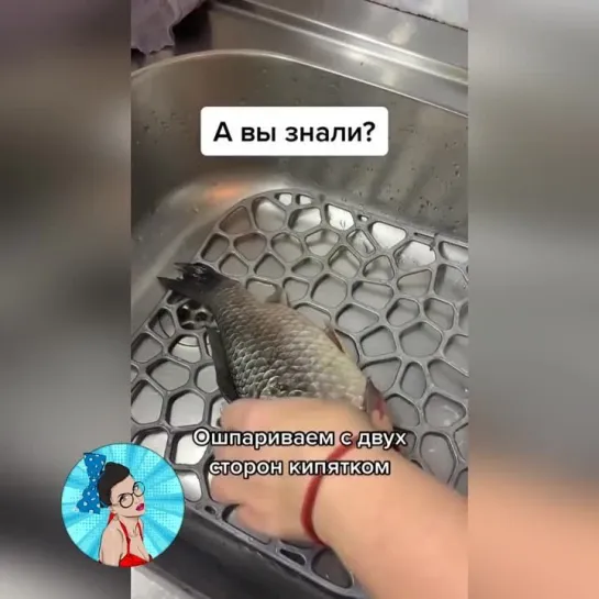 А вы знали?