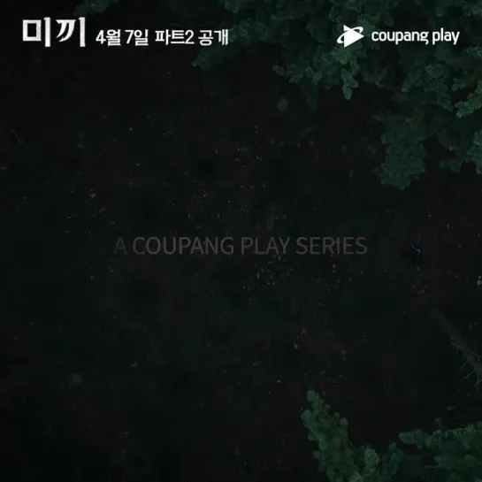 coupangplay.mp4