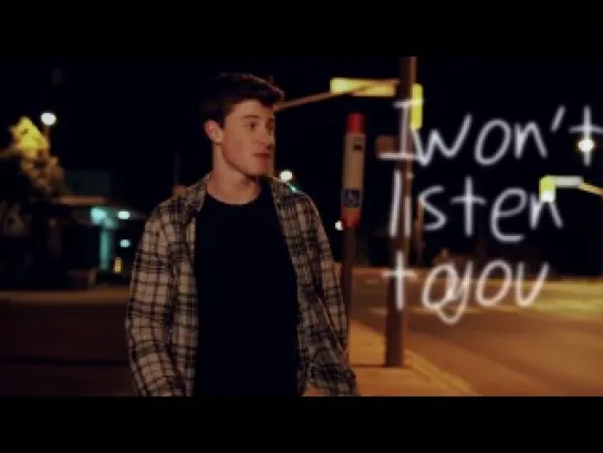 Shawn Mendes - Show You (Lyric Video)