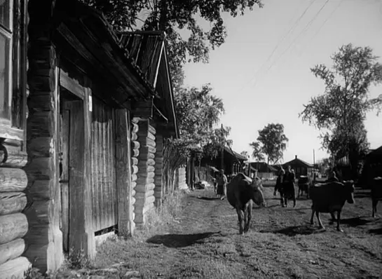 Чужая родня (1956)