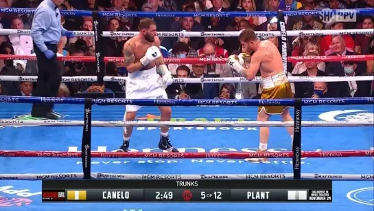 canelo vs plant