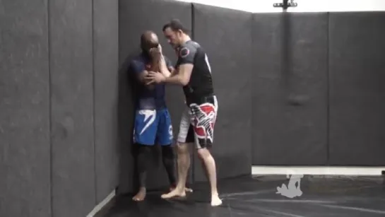 Spinning Back Elbow From MMA Clinch