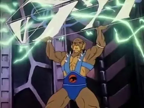 THUNDERCATS - CAP: 18