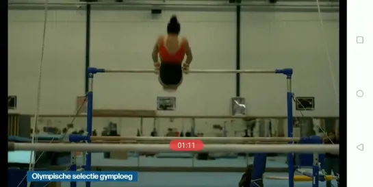 Nina's uneven bars