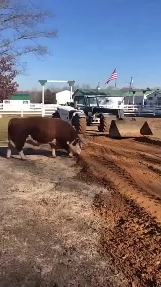 Видео от АВТО