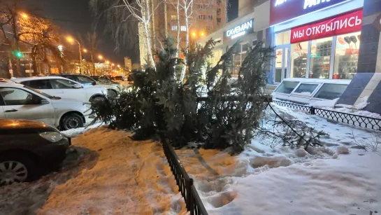 На улице Агибалова уже третий день лежит спиленное дерево.