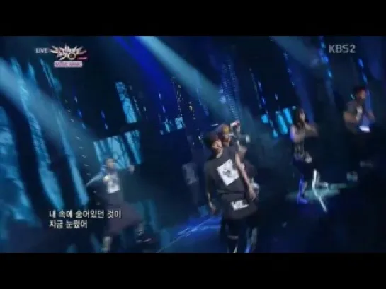 [COMEBACK STAGE] 130531 EXO - Intro & Wolf @ KBS Music Bank