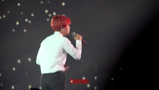 151010 EXO - Love concert - 살다가, Baekhyun focus