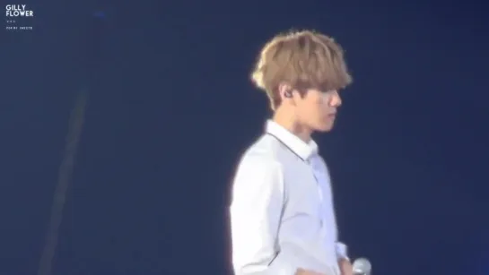 [FANCAM] 150706 EXO BAEKHYUN focus - Harmony in the End of Summer @ SMTOWN