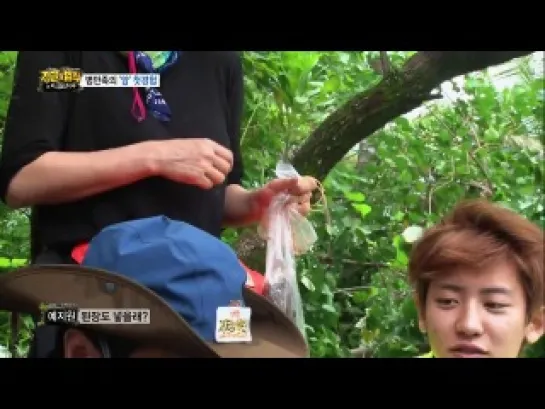 140103  Chanyeol @ Law Of The Jungle EP.3