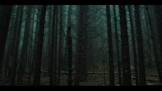 Ритуал / The Ritual [2017]