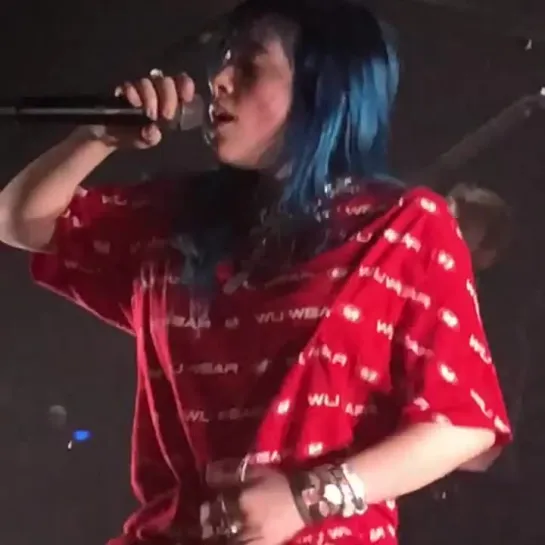 billie eilish live / boston