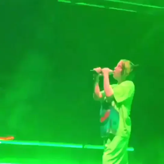 Billie performing "wish you were gay" at Ms Dockville festival in Hamburg , Germany