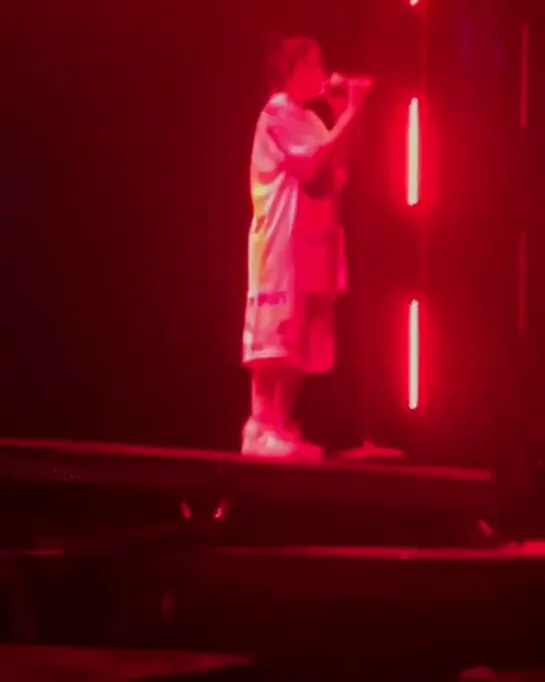 Billie Eilish live / Chicago 09.06.19