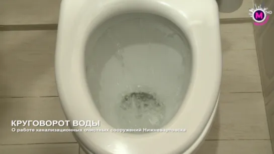 Круговорот воды