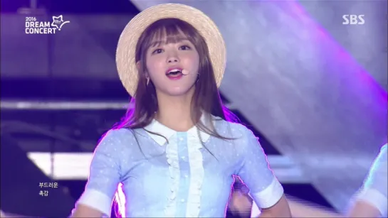 OH MY GIRL - WINDY DAY (2016 Dream Concert 2016.06.12)