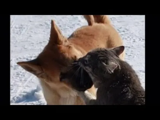 Видео от Юрия Зверева